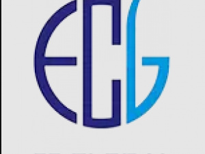 Shanghai EC Global International