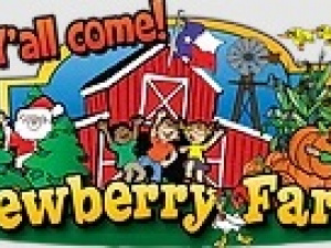 Dewberry Farm