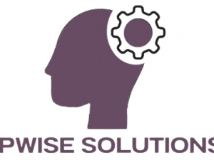 IP Wise Solutions