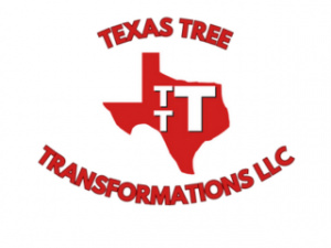 Expert Tree Services in Dallas, Texas Trimming