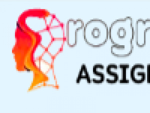 programingassignmenthelp