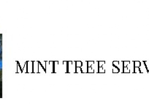 Mint Tree Services