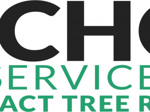 Tree Removal Services in Tacoma WA - Archon Tree