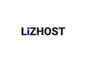 lizhost.com