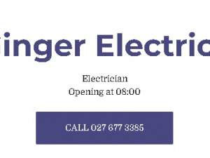 Ginger Electrics