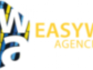 Easy Way Agencies
