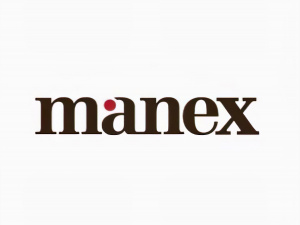 Manex Consulting