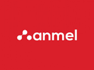 Anmel Solutions