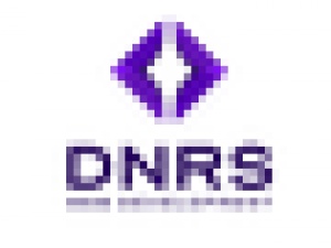 DNRS Web Development