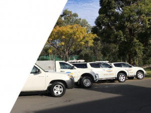 Termite Inspection Sydney - Knockdown Pest Control