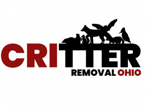 Critter Removal Ohio