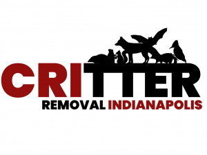 Critter Removal Indianapolis