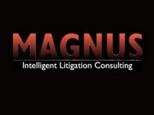 Magnus Research Consultants