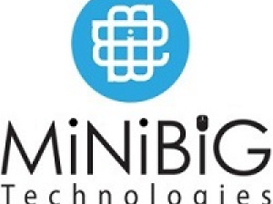 MiniBig Technologies | Digital Media Agency