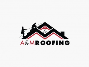Professional roofing and roof repair service 
