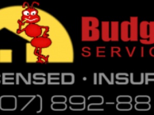 Budget Services Inc.