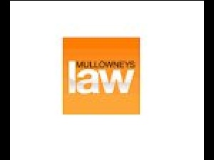 Mullowney's Law, Professional Corporation