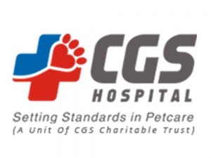 Boarding services for pets in gurgaon