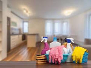 Apartment Clean Out Services Tampa FL