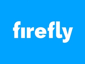 Firefly - SEO Company Auckland