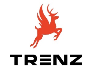 Shop Trendy Men's Sneakers Online at Trenz