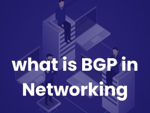 What is BGP in Networking