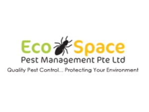 Best Bed Bug Removal in Singapore