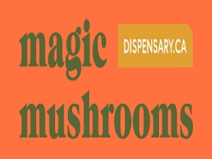 Magic Mushrooms Dispensary