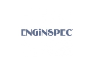 ENGiNSPECT