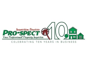 Pro-Spect Inspections