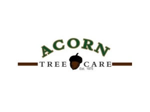 Acorn Tree Care