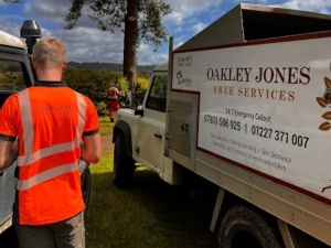 Oakley Jones Tree Services