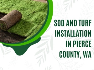 Sod and turf installation in Pierce County, WA