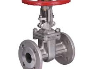 Super Duplex Gate Valve Supplier in Egypt