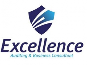 Excellence Auditing 