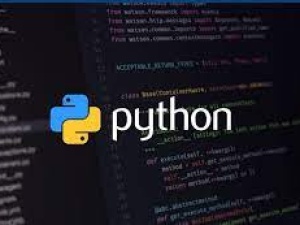 Hire Python programmers