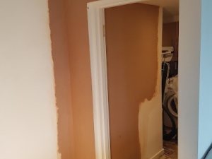 DPF Plastering & Damp Proofing