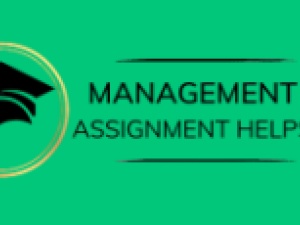 Management Assignment Help