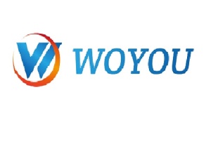 At WOYOU, you can buy Canaan Avalon Asic Miners 