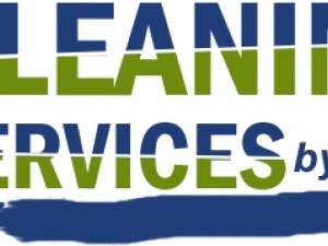 Cleaning Services by Brian