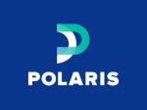 Polarisgrids