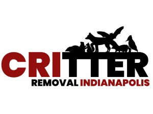 Critter Removal