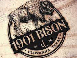 wholesale bison meat texas