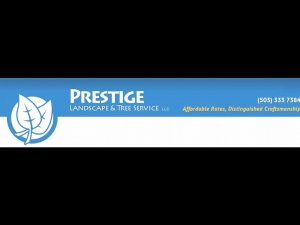 Prestige landscape Services