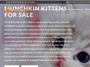 Buy munchkin cat