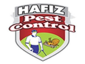 Pest Control Islamabad | Termite Control Islamabad