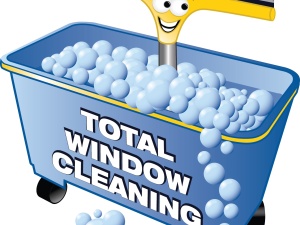 Total Window Cleaning Inc.