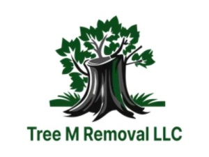 Tree M Removal LLC