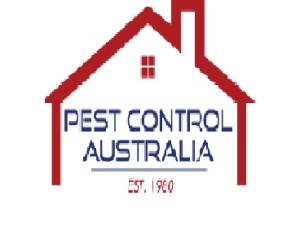 Termite Inspection Brisbane