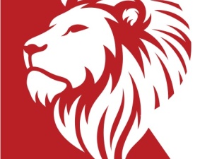 Red Lion Contracting